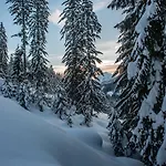 Naturparkresort Geoapartment Gams bei Hieflau