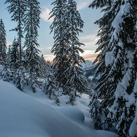 Naturparkresort Geoapartment Gams bei Hieflau