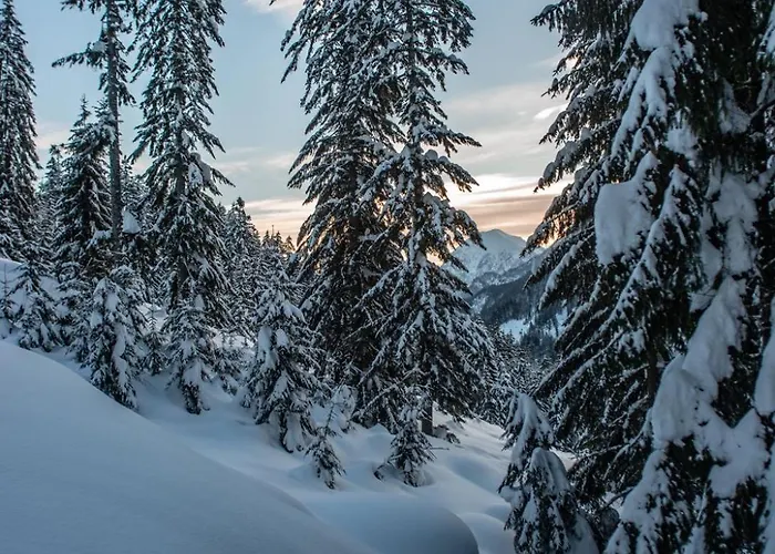 Naturparkresort Geoapartment Gams bei Hieflau